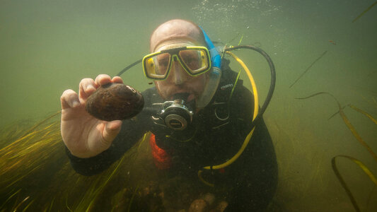 Diver collects Mucket