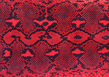 background of sneak skin texture