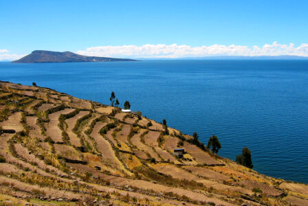 Farms landscape with ocean on an island