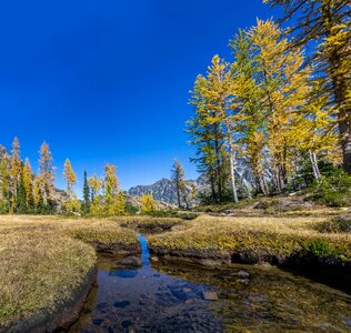 Stream lake streamlet