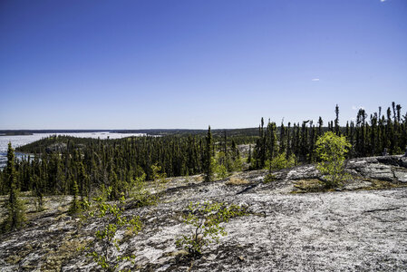 Prelude lake with trees and forest landscape on the Ingraham Trail photo