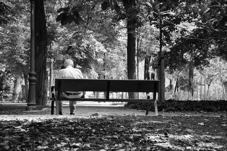 Old man sitting alone on a bench photo