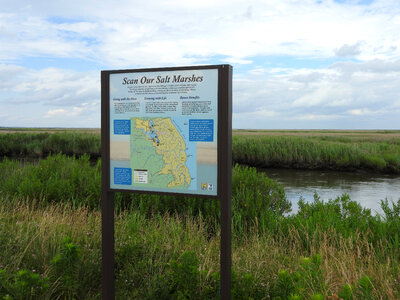 Scan Our Saltmarshes interpretive sign photo