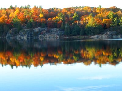 Fall colors canadian shield photo