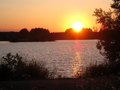 Silhouettes nature sunset