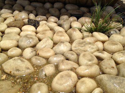 Pebbles round zen photo