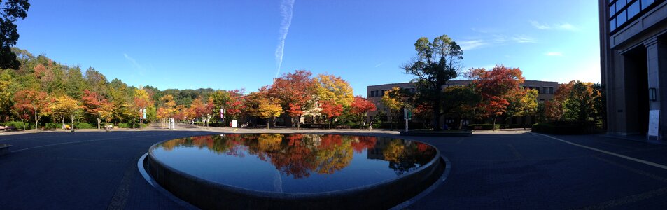 Blue sky autumnal leaves refreshing photo