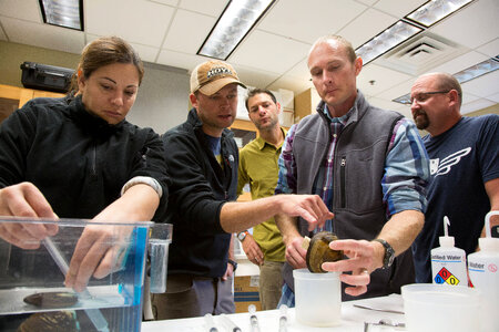 Biologists learn how to grow freshwater mussels-1