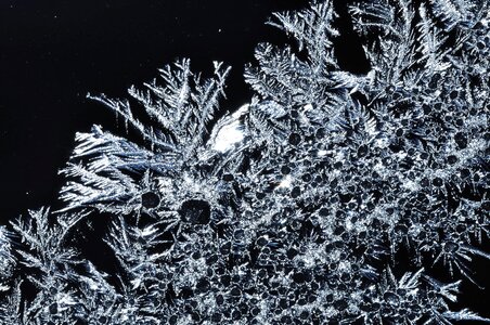 Snow frozen snow crystals
