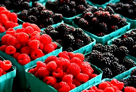 Beautiful Photo berries blackberry