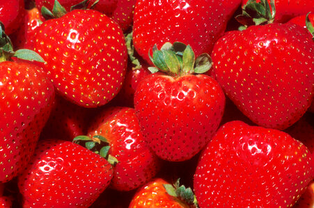 Close-up Of Red Strawberries photo