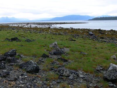 Shoreline in Glacier Bay Alaska photo