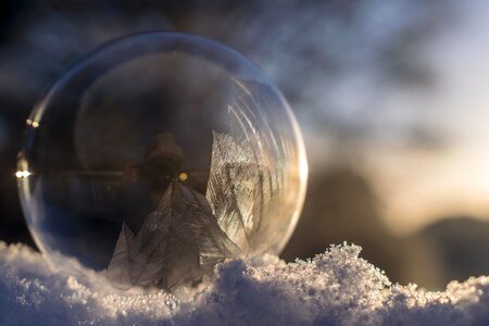 Cold frost ice photo