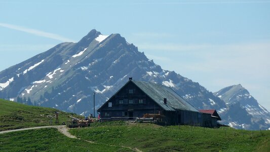 Meadow panorama view