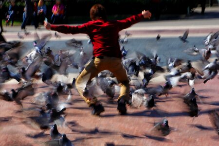 Pigeons jumping plaza catalunya