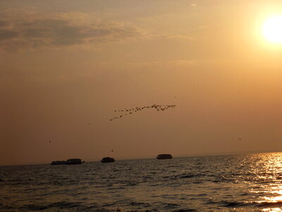 Birds Boats Sun Sea photo