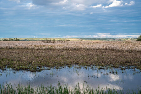 Great Marsh Landscape