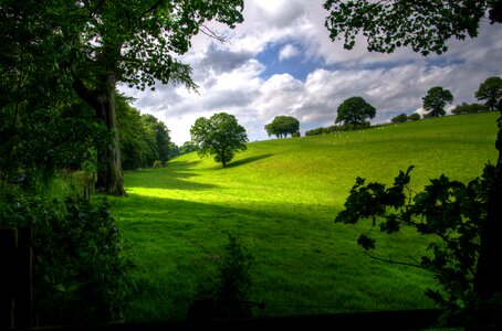 Scenic green trees photo