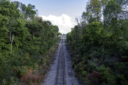 Railroad Tracks between the trees into the Clouds