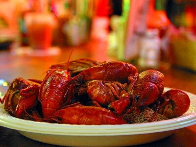 Crawfish food 