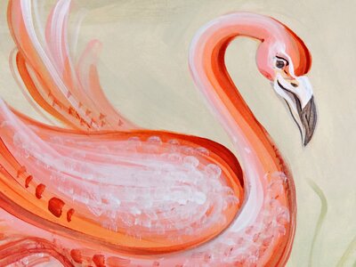 Elegance fine arts flamingo photo