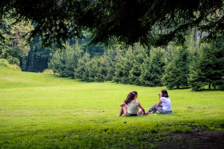 Sitting grass young photo