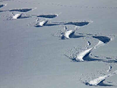 Trace curves powder snow