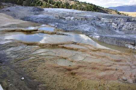 Yellowstone National Park photo