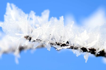 Cold crystal daylight photo