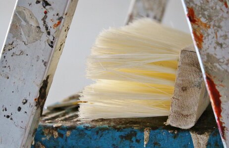 Renovation head brush