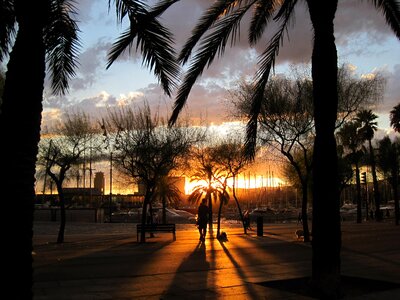 Tropical sunset sky