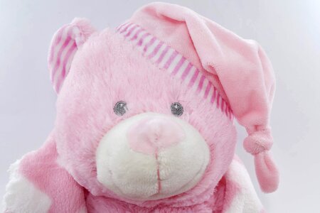 Pink plush teddy bear toy photo
