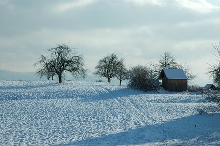 Snow wintry cold