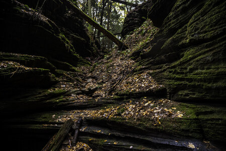 Logs and rock formations at Witch's Gulch in Wisconsin Dells photo