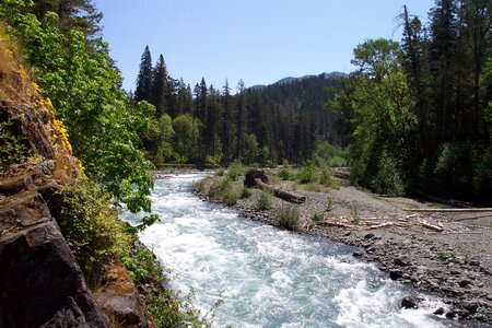 Krause Bottom, Elwha River, Olympic National Park