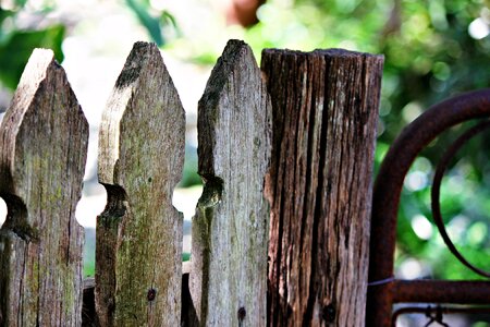 Old gate wooden photo