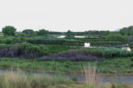 Refuge scenic-1 photo