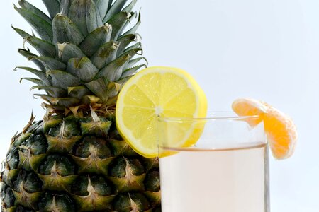 Cocktail lemonade mandarin
