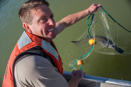 Fisheries crew netting paddlefish-4