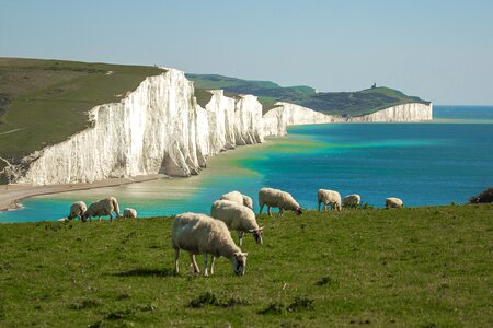 Panorama sea country photo