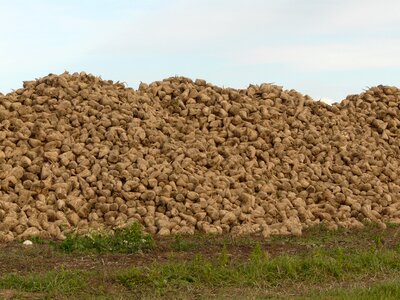 France heap field