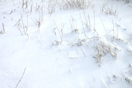 Snowflakes freezing frost photo