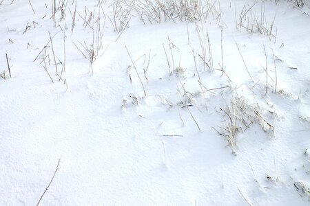 Snowflakes freezing frost