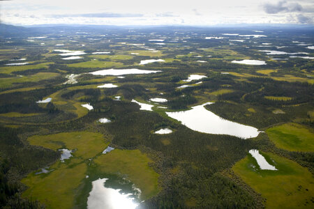 Aerial of ponds and lakes at Tetlin National Wildlife Refuge