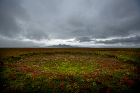 Colorful tundra in Izembek National Wildlife Refuge