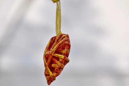 Handmade hanging heart photo