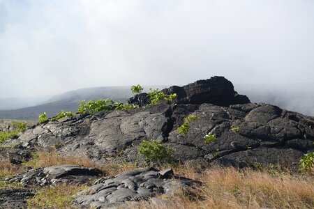 Hawaii Volcanoes National Park photo