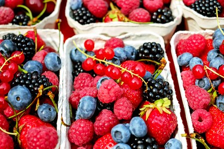 Beautiful Image beautiful photo berry