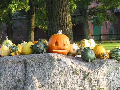 Halloween autumn gourd
