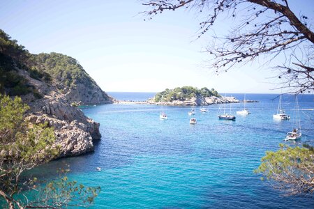 Sailboats In Cove photo